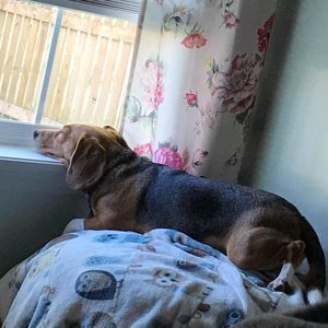 Meet your Posher, Kathy